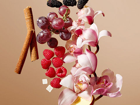 广禾堂 X Sensory Art