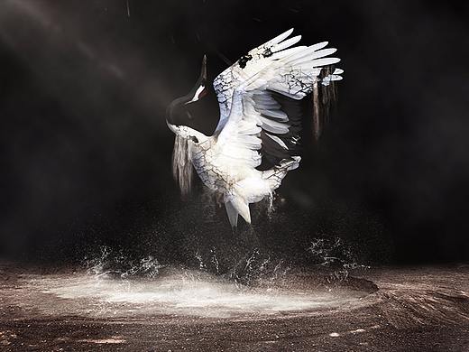 保护环境公益海报——五行