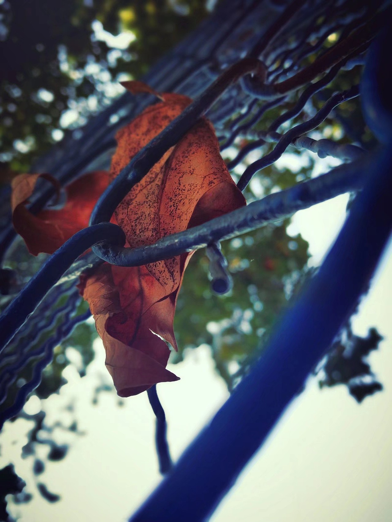 手机摄影（图ZMjE4MzA0MzU2） - 其他摄影 - 站酷设计师z0701原创素材 - 站酷ZCOOL