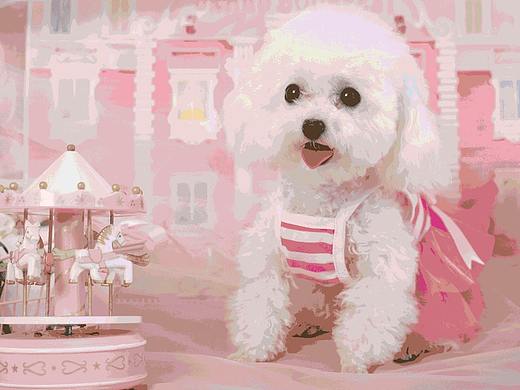 矩形转场 图形转场