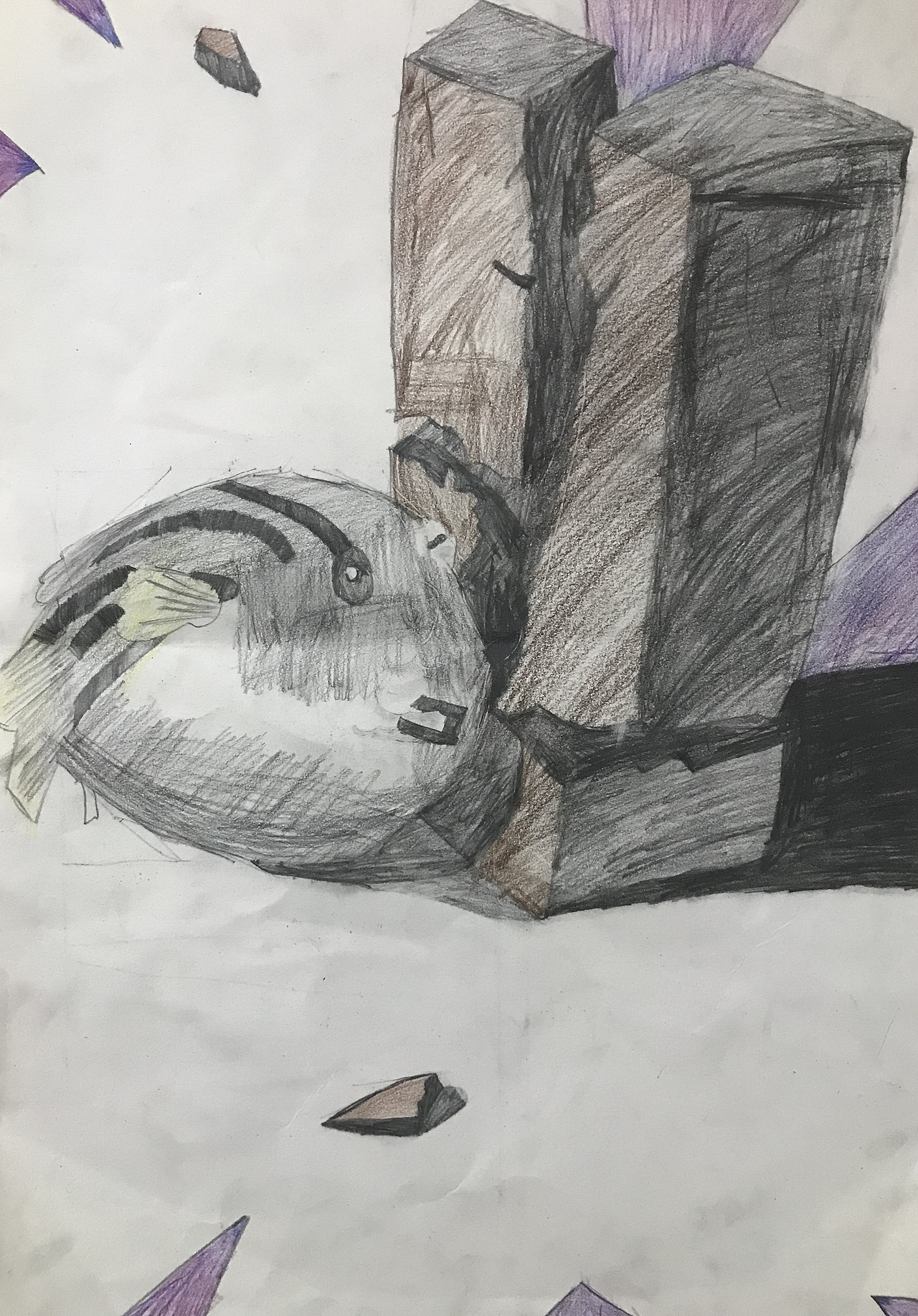 学生创意素描作品辑