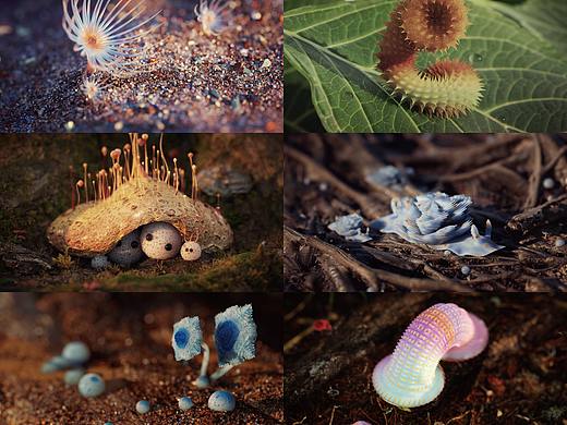 奇妙生物（個人主頁-ZNTg3MDgwMDg=） - 其他三維 - 站酷設(shè)計師Cnidzz原創(chuàng)素材 - 站酷ZCOOL