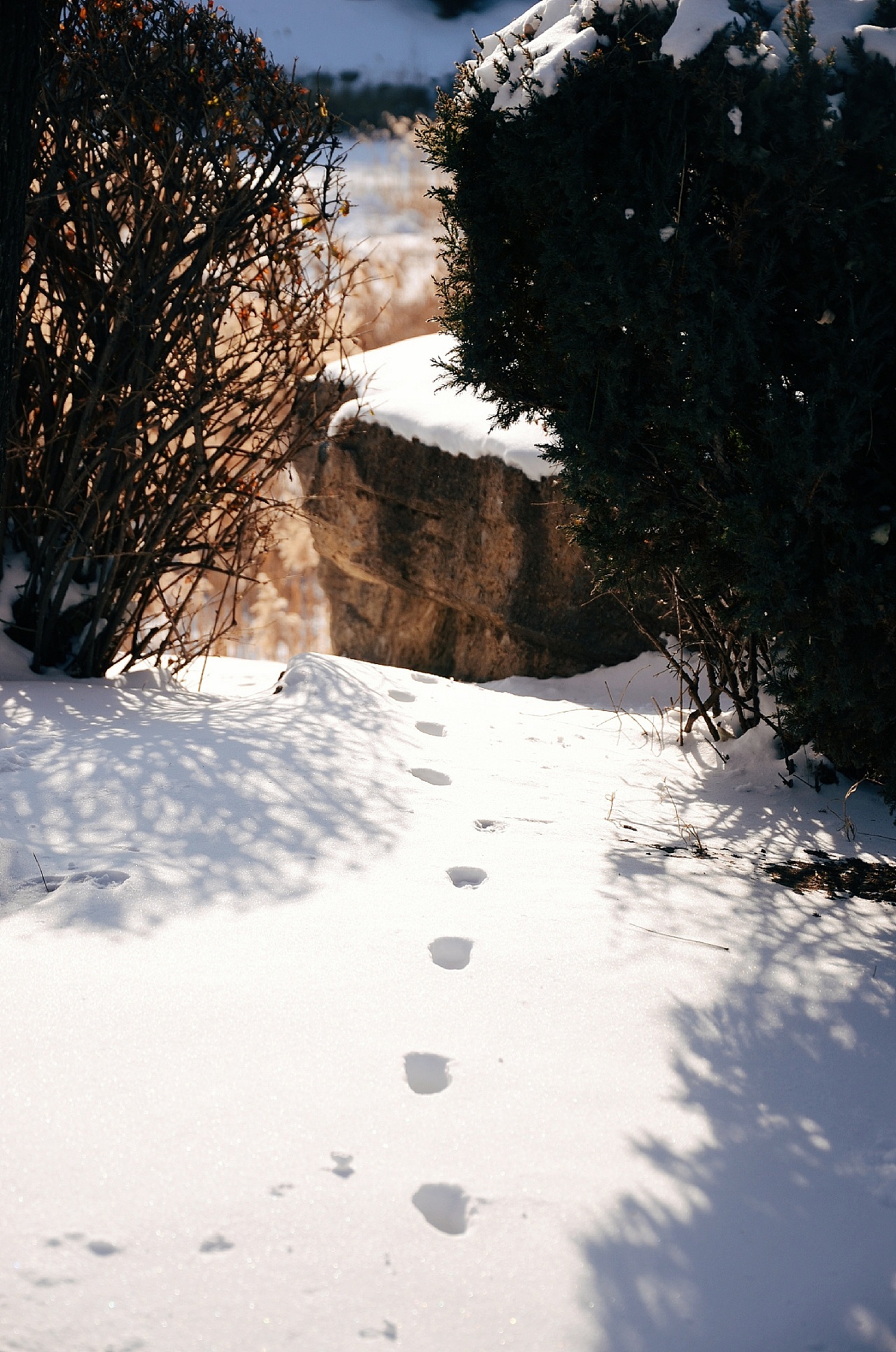 深圳风景摄影师