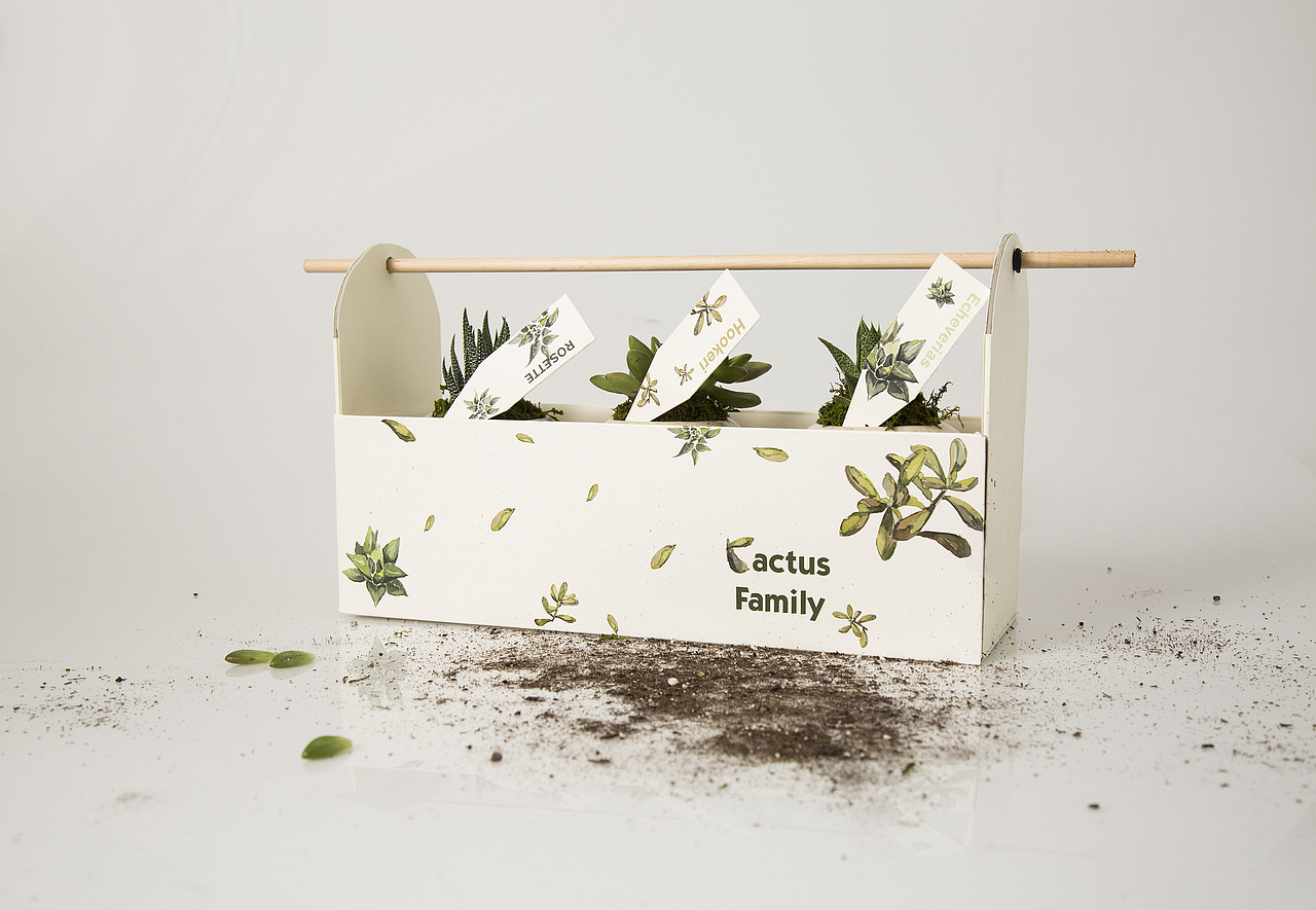 多肉盆栽包装设计(Cactus Family)