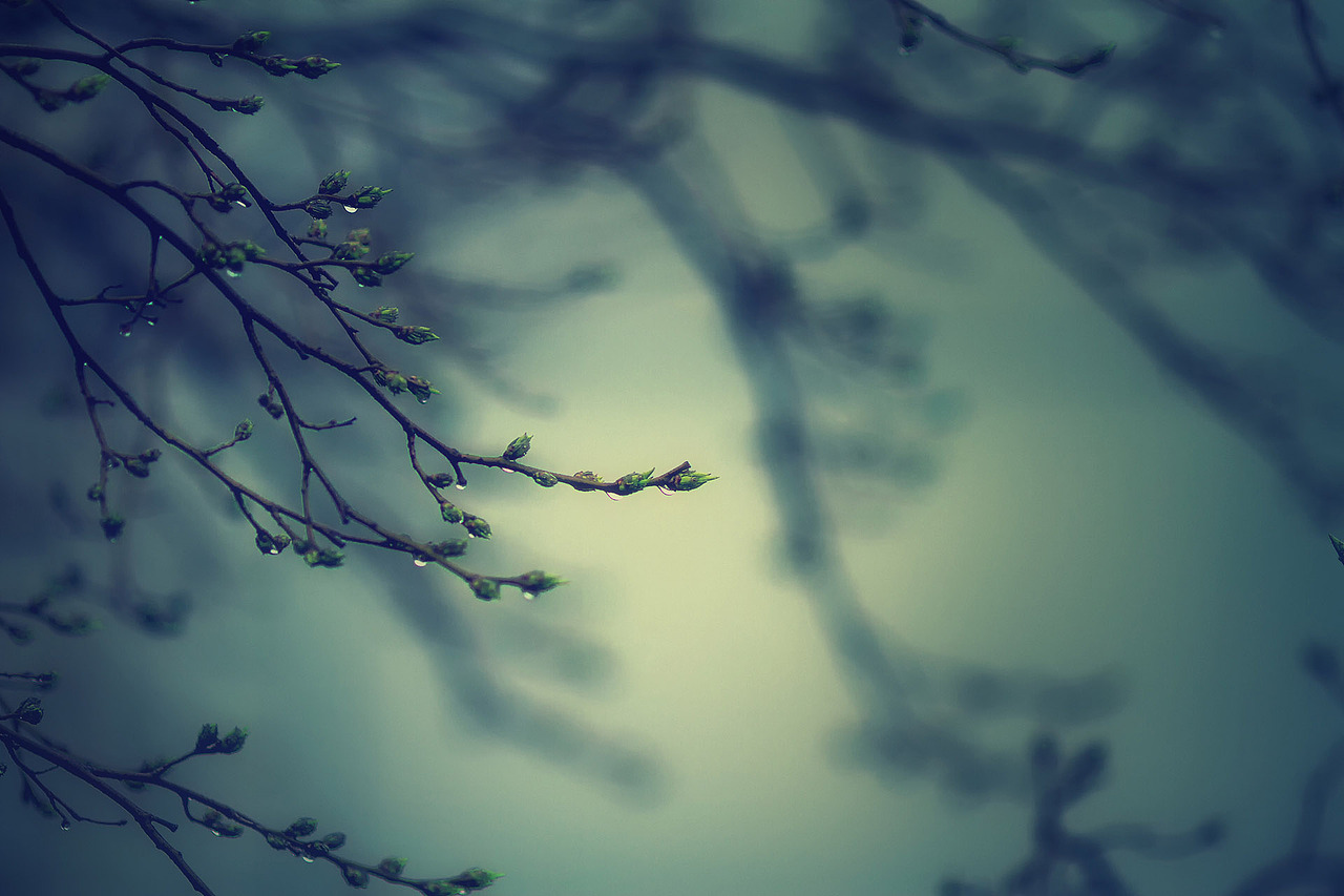 春誌2021（图ZMjU2NDk1MTQw） - 风光摄影 - 站酷设计师amhx原创素材 - 站酷ZCOOL