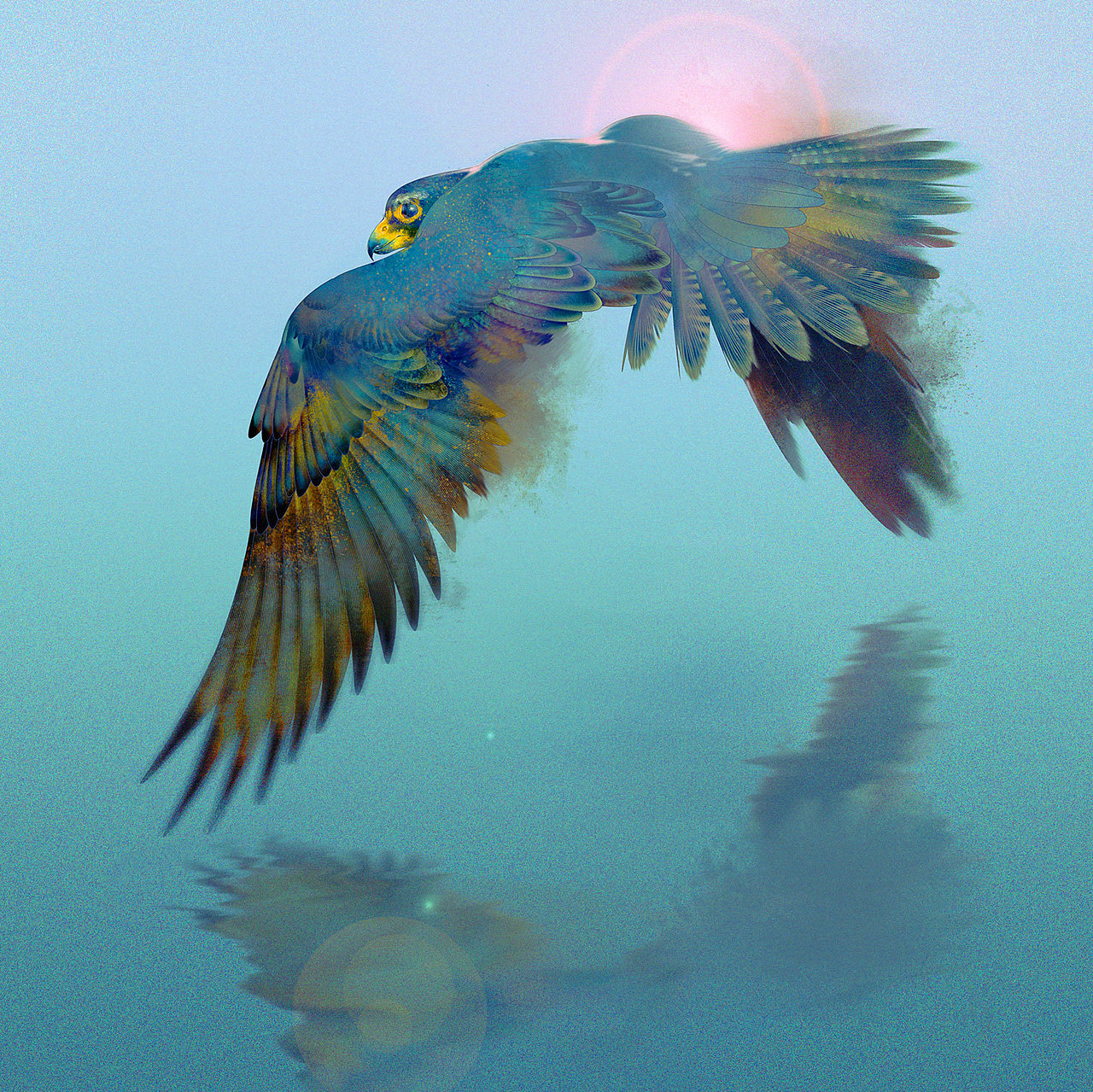 「鸟绘习作」 之二