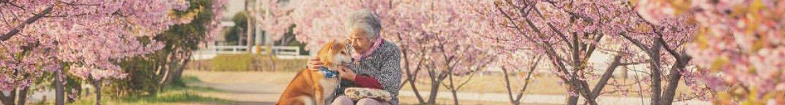 柴团和毓的个人主页（封面预览） - 主页封面设置 - 站酷设计师柴团和毓原创素材 - 站酷ZCOOL