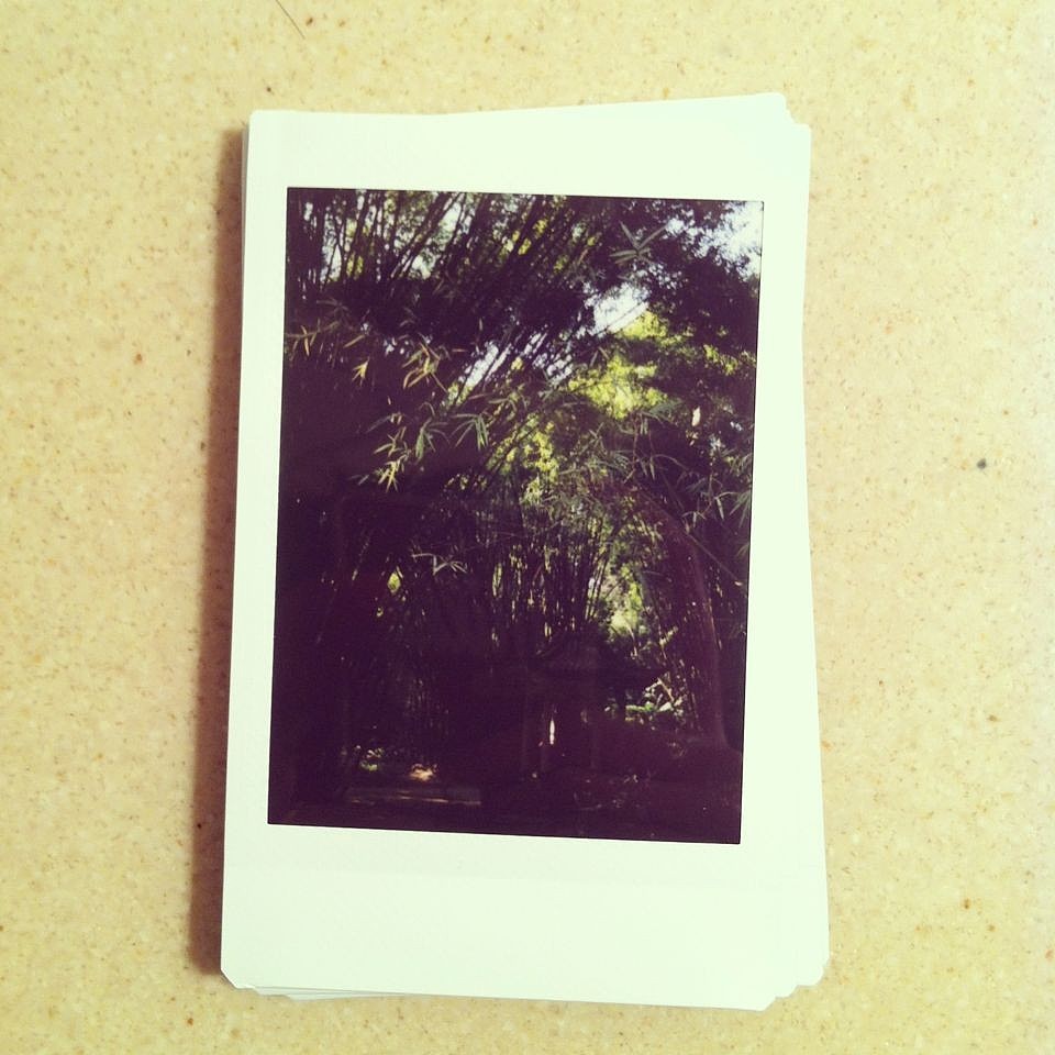 **森林公园**（图ZMTM4NTQxNDg=） - 风光摄影 - 站酷设计师3thslive原创素材 - 站酷ZCOOL