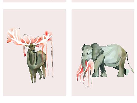 保护动物插画