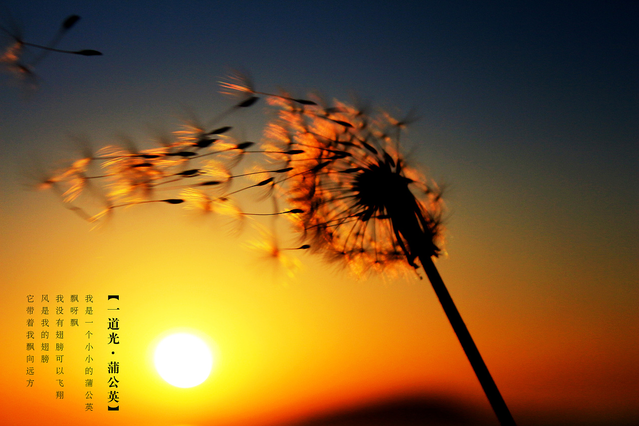 那一道美丽的光