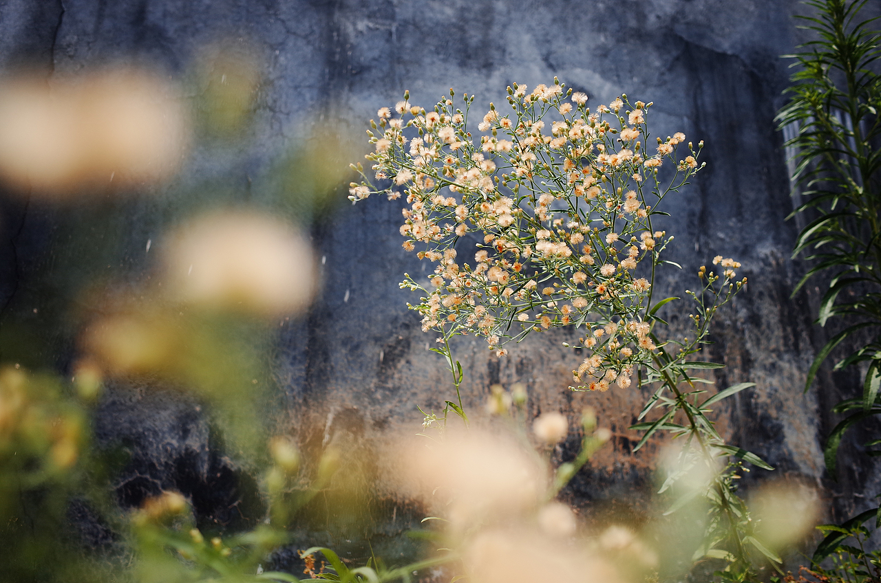 福州 | 民国古街