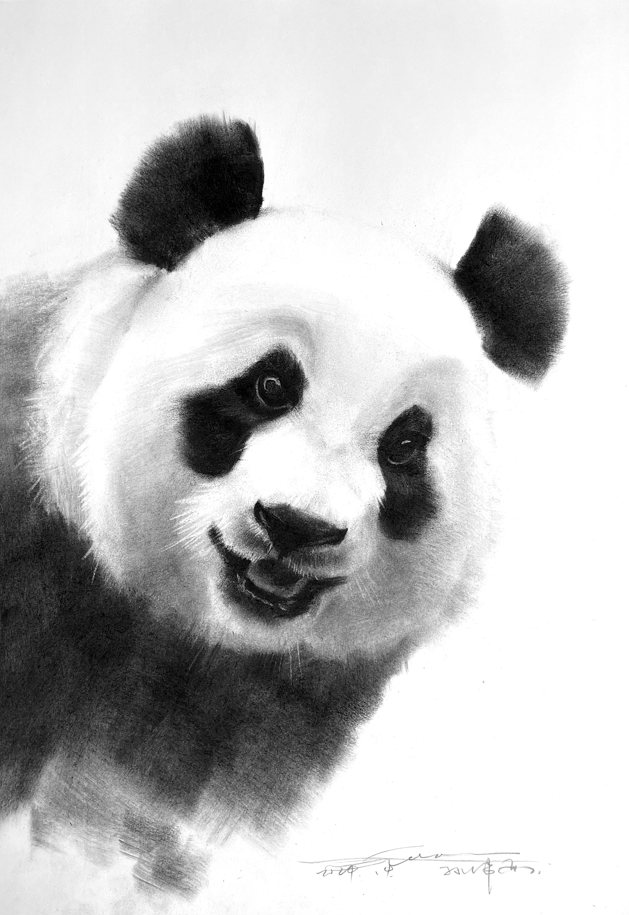 黑白插画也可以很好看不是吗？