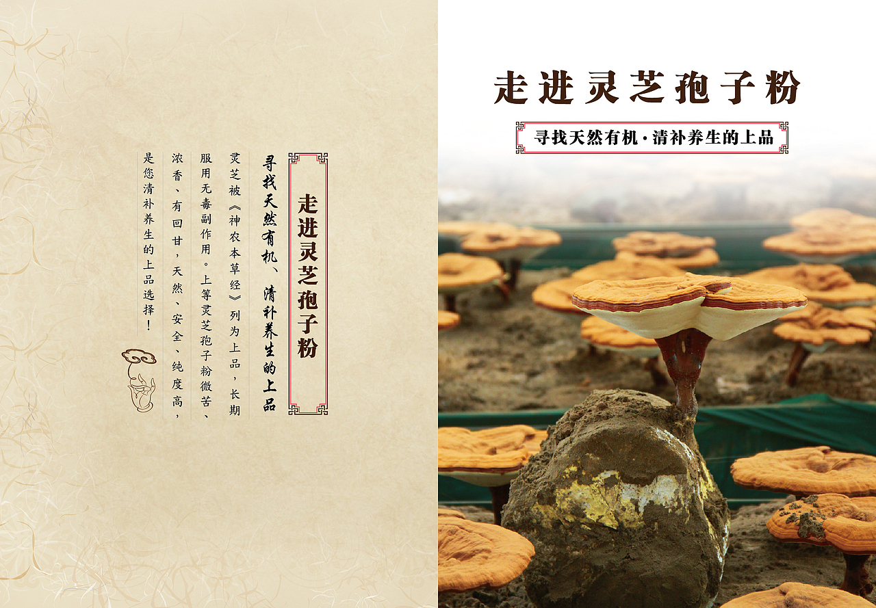 寿仙谷铁皮石斛花 产品宣传海报