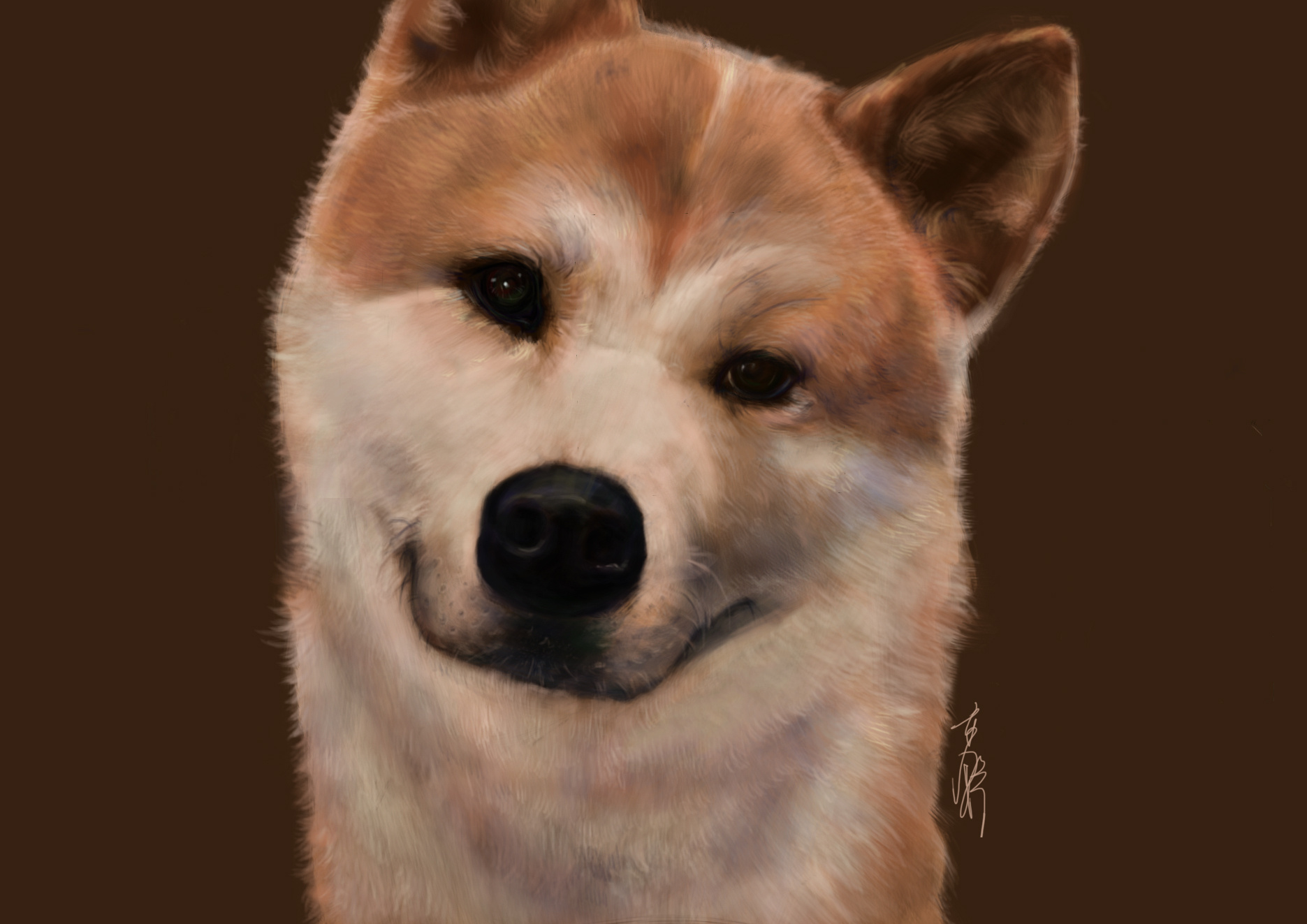 【手绘五】忠犬八公