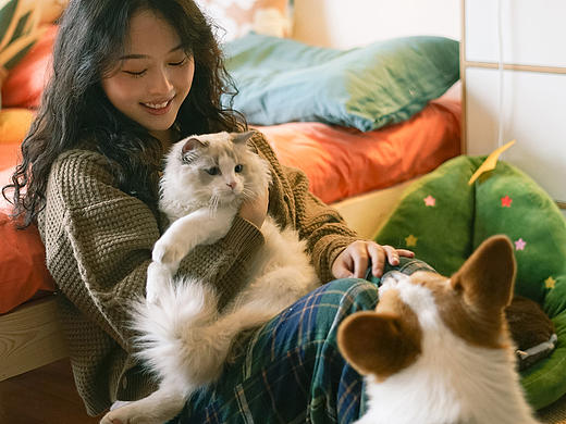 猫狗双全，谁看了不说一声羡慕