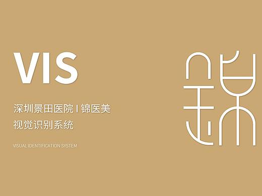 锦医美logoVIS