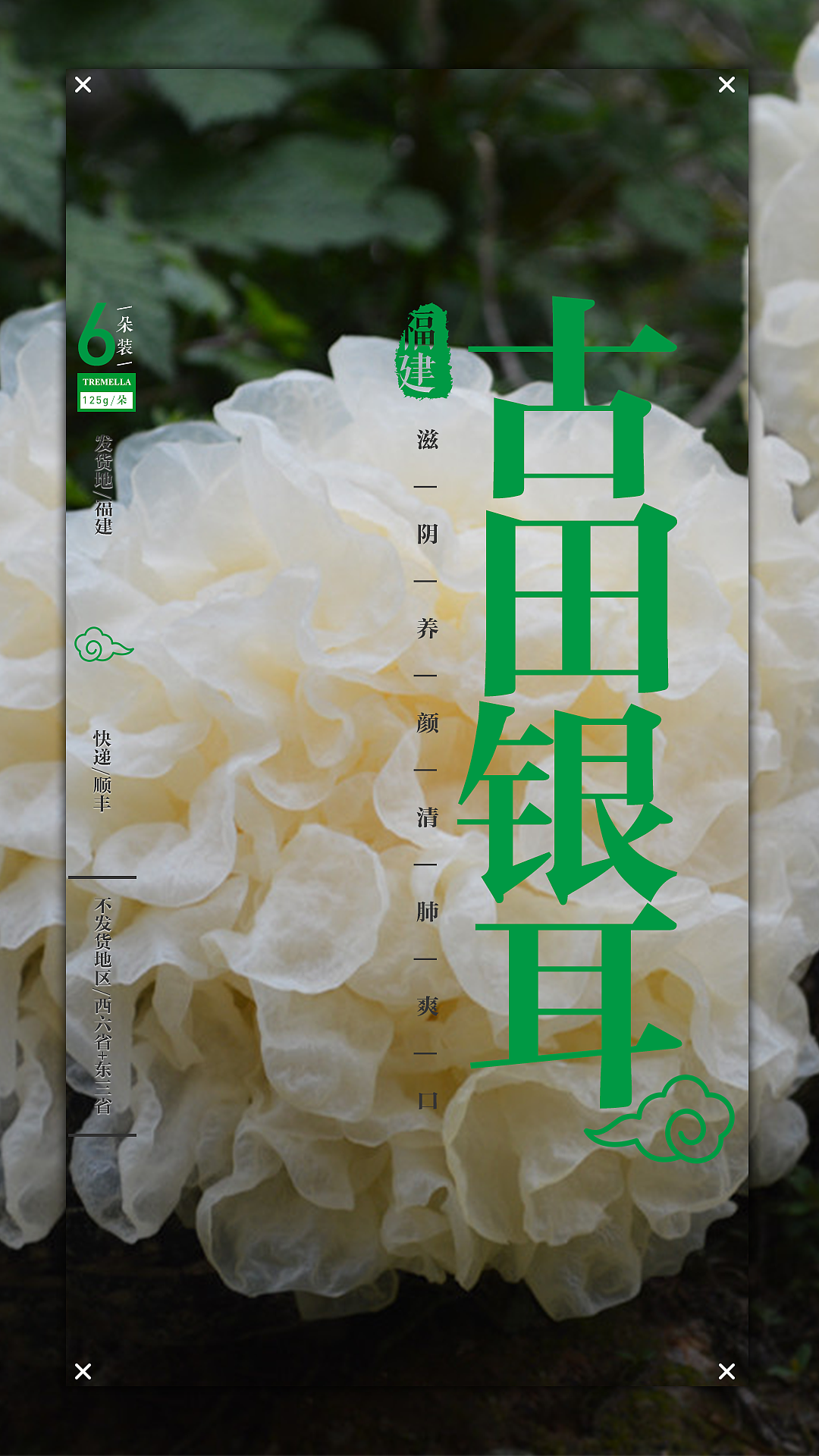 古田银耳海报（图ZMTQzNzE0Nzk2） - 海报 - 站酷设计师redpigxa0原创素材 - 站酷ZCOOL