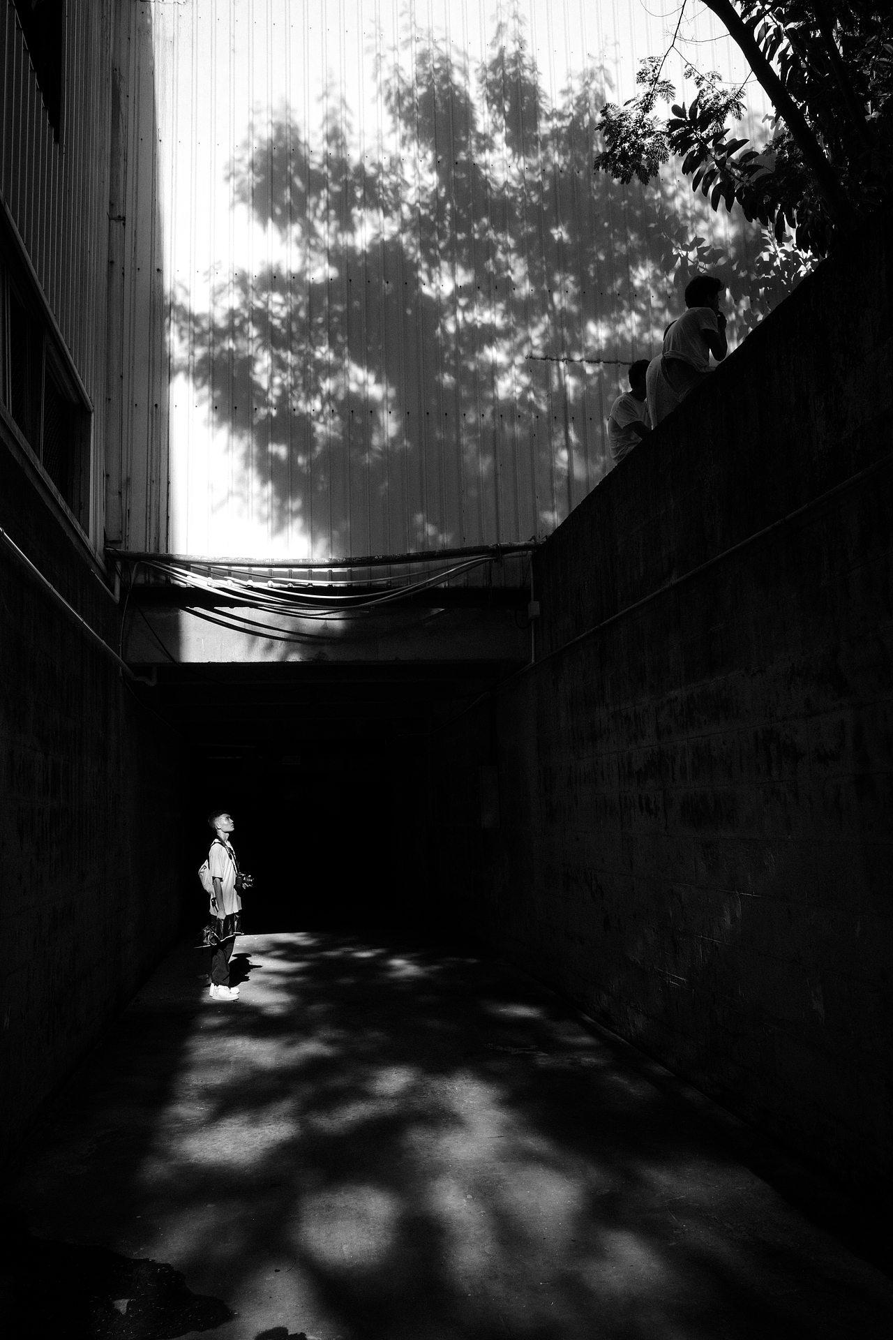 凝视大千世界，这个世界也温暖着你（图ZMjMxNTU5NTM2） - 人文/纪实摄影 - 站酷设计师拾光朝圣者原创素材 - 站酷ZCOOL