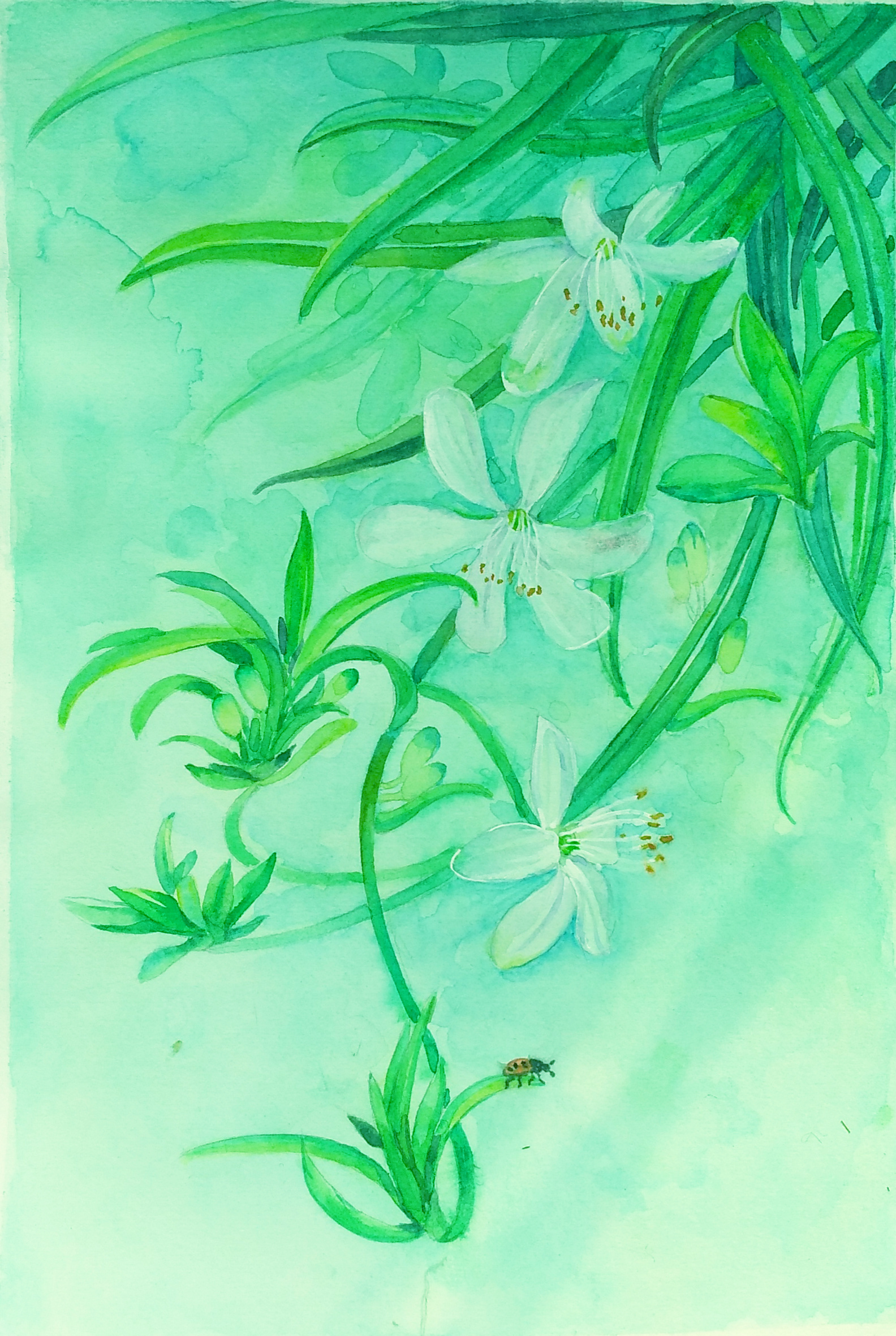 春暖花开|插画|创作习作|冉小稳 - 原创作品 - 站酷 (zcool)