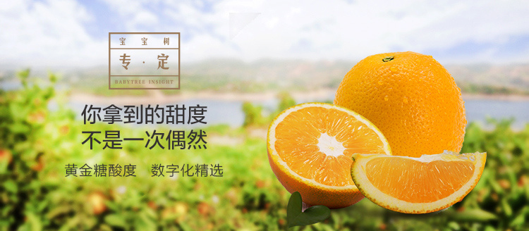 小橙子-拼团图|网页|banner/广告图|小阿蜡 - 原创作品 - 站酷 (zcool