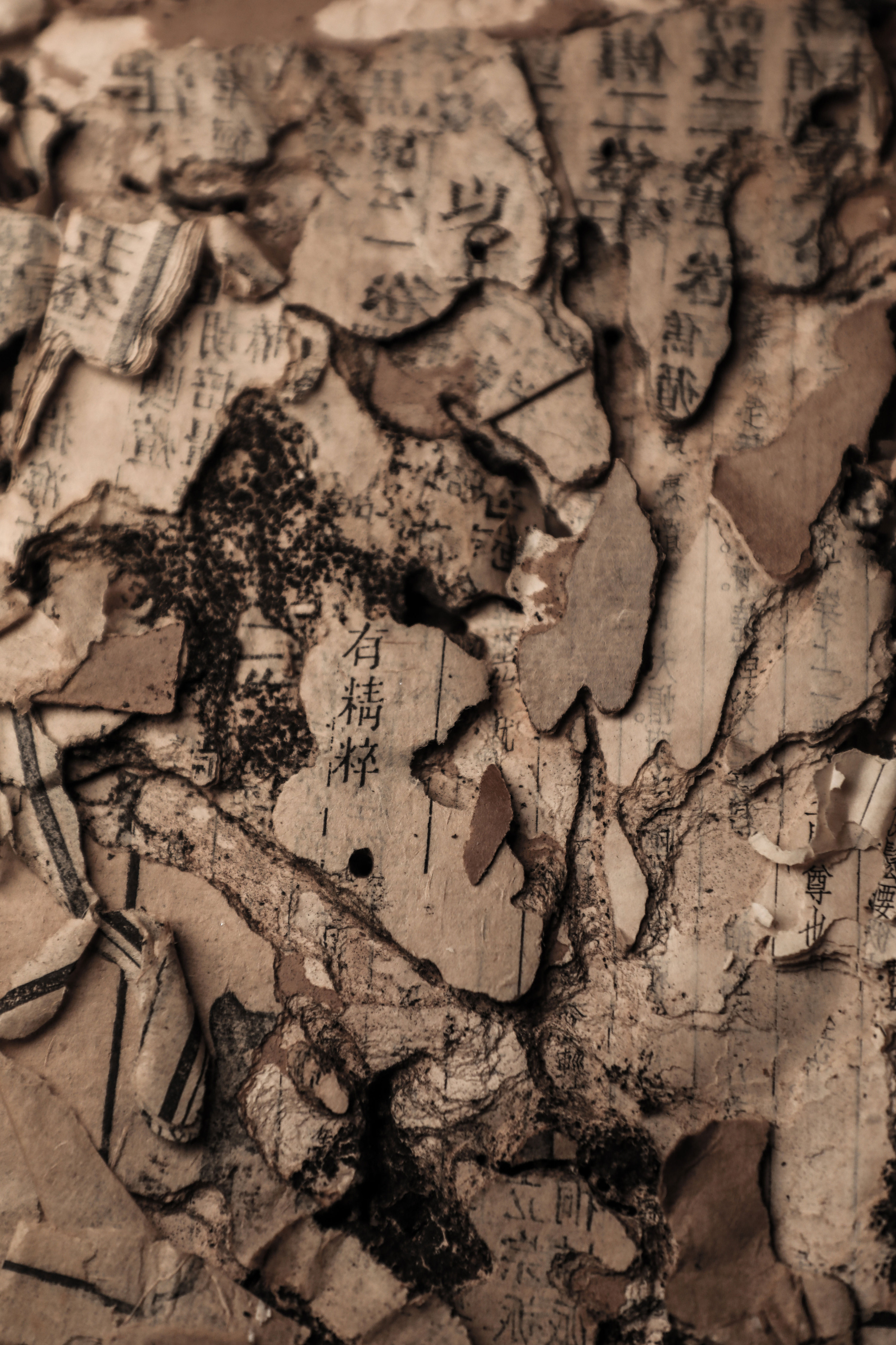 古籍智慧之光|摄影|人文/纪实|来自地下 - 原创作品 - 站酷 (zcool)