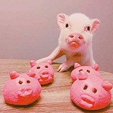 lehehehe的头像