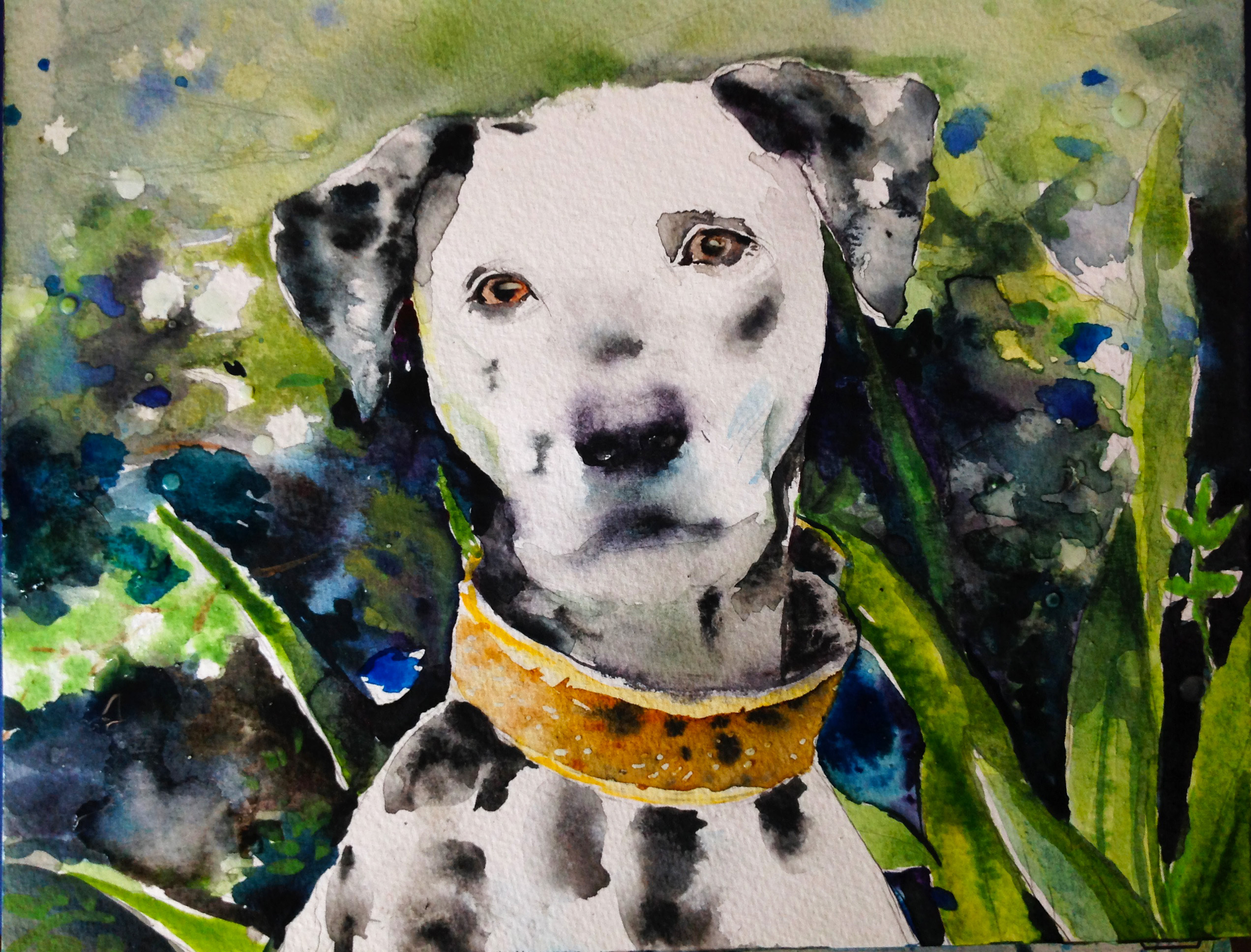 水彩画斑点狗