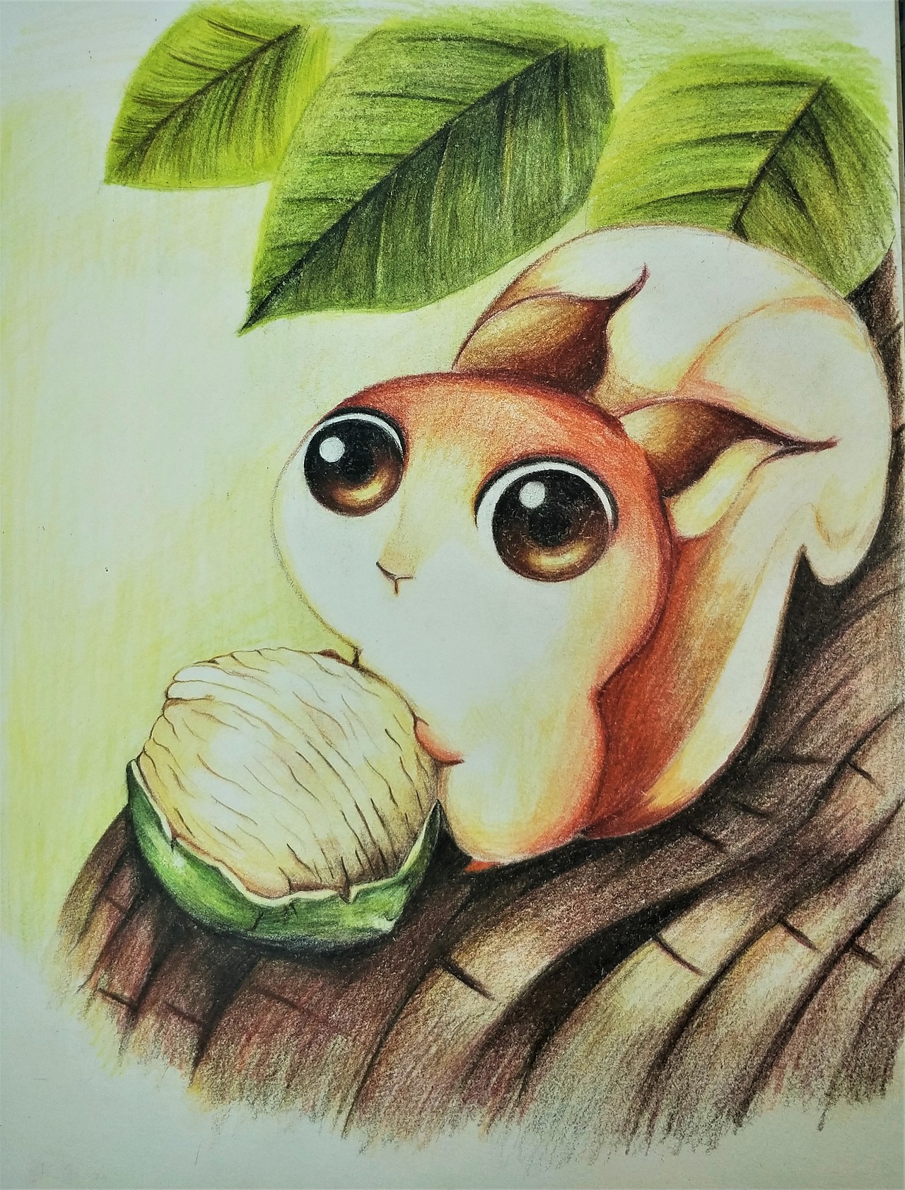 彩铅练习-花、动物、食物、静物、圆 三角 矩形物体