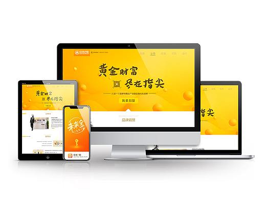 网页H5