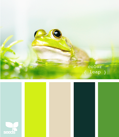 美丽的配色卡啊——04