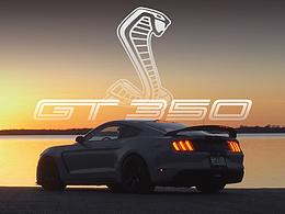 FORD MUSTANG GT350