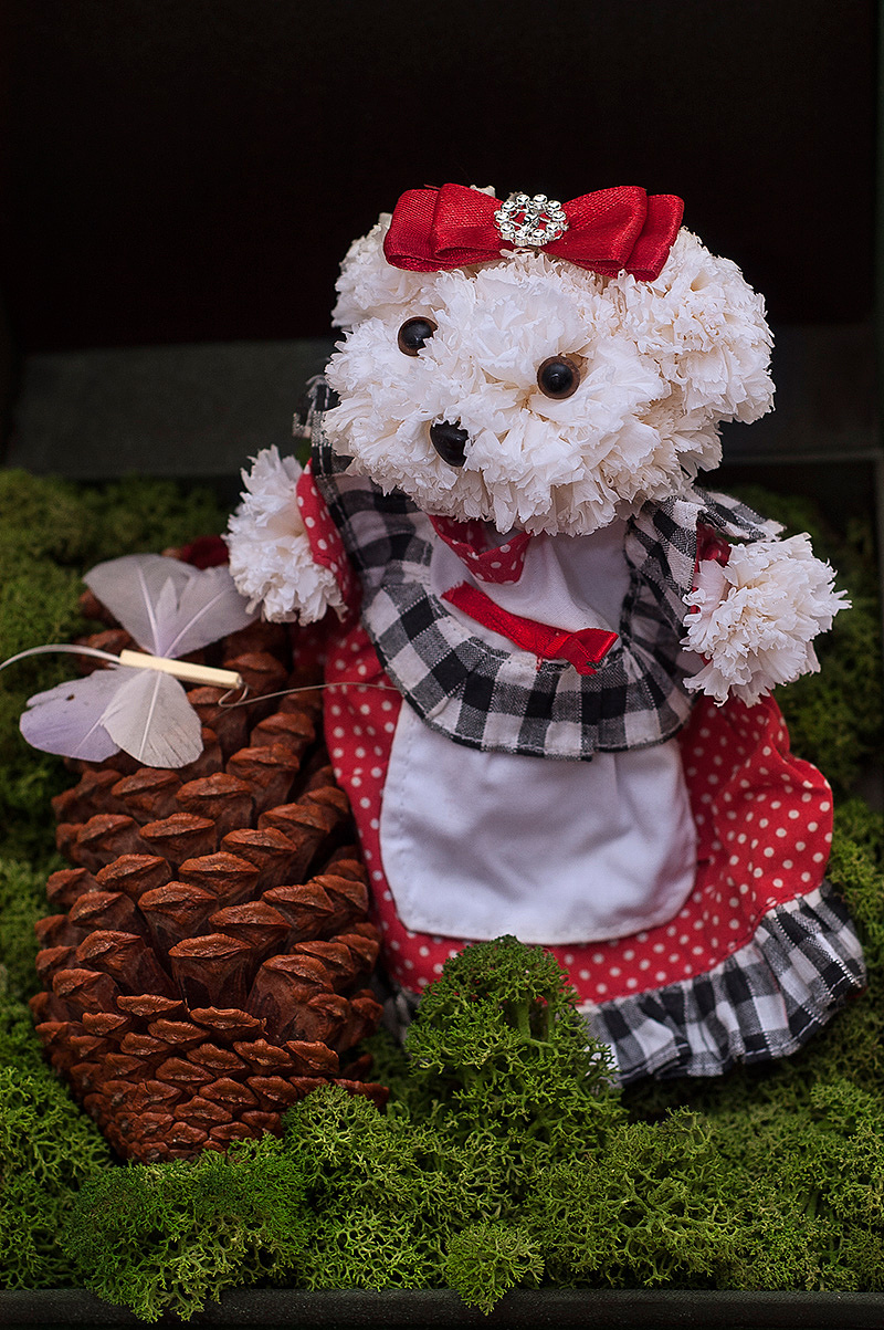 美翻了，萌到极点！原创永生花小熊欣赏！（图ZMTc0MTMyNjYw） - 其他手工艺 - 站酷设计师凯撒世界原创素材 - 站酷ZCOOL