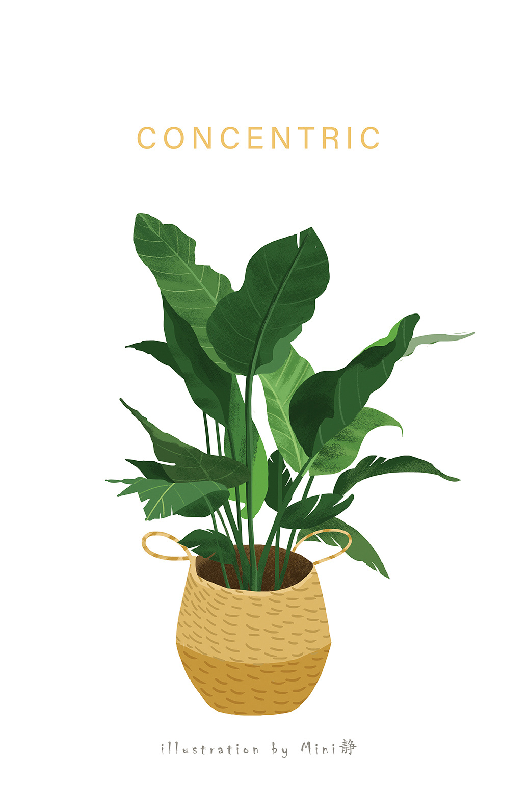 北欧植物系列|插画|插画习作|mini静 - 原创作品 - 站酷 (zcool)