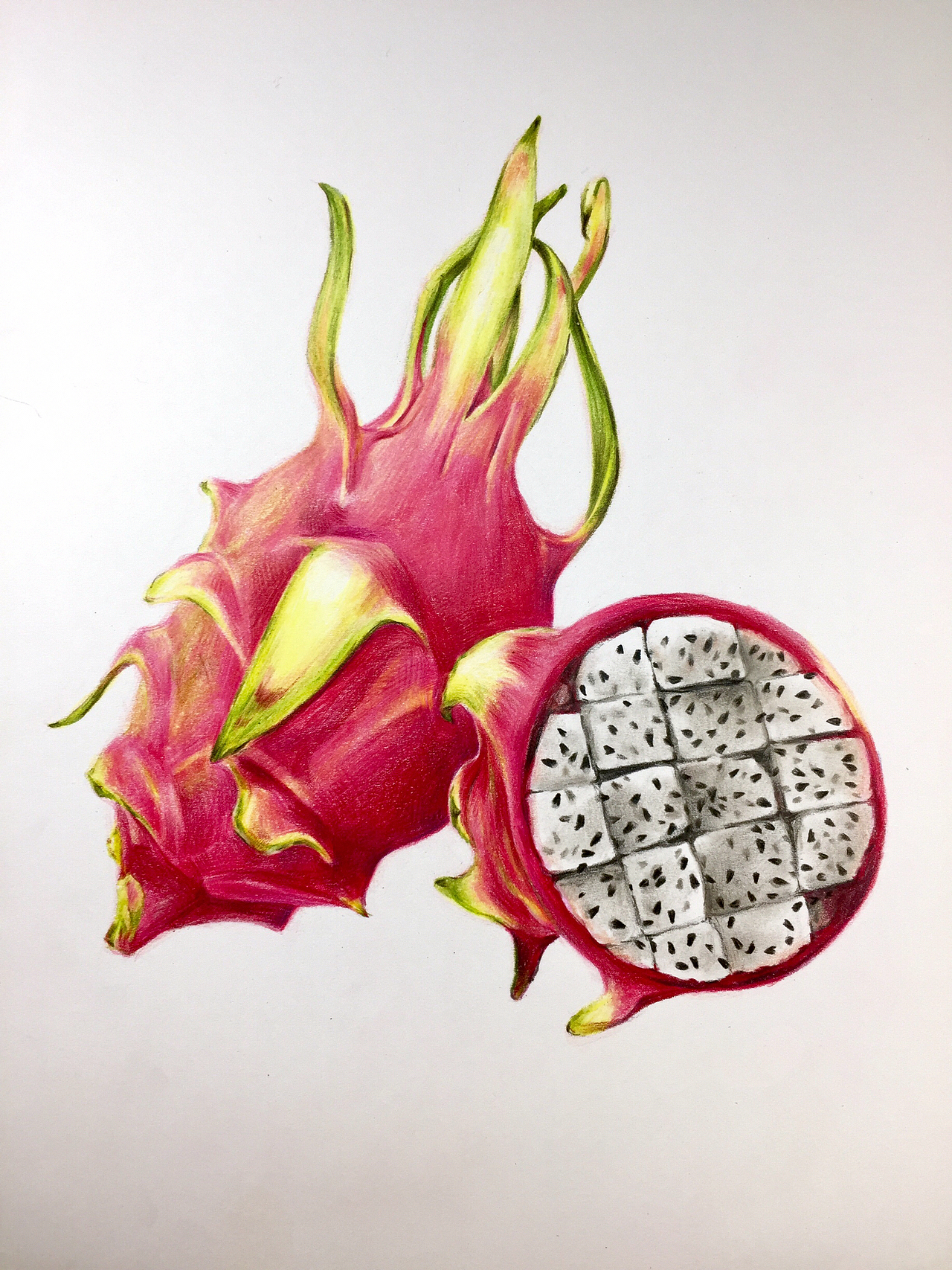 彩铅火龙果|纯艺术|绘画|毛伟漫画_原创作品-站酷zcool