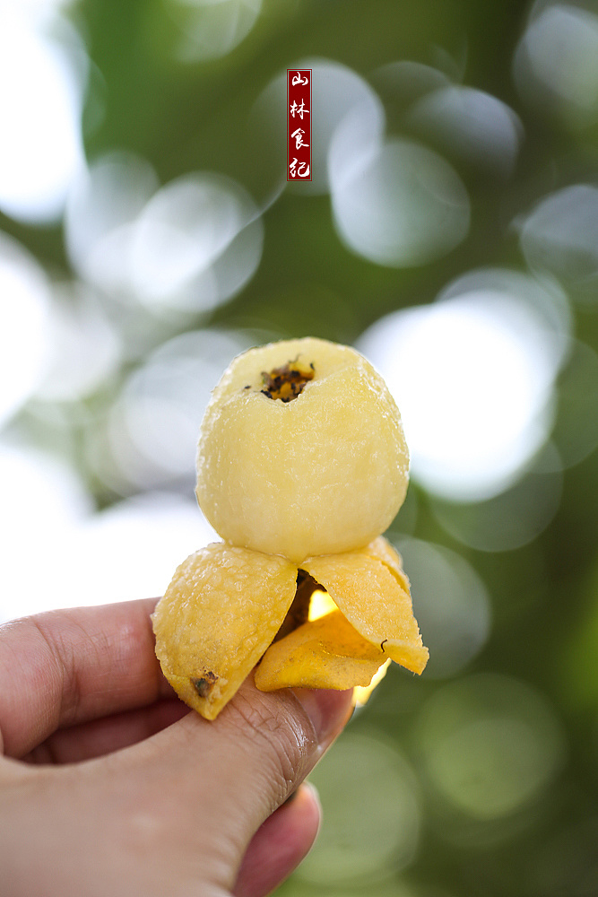 苏州的枇杷|摄影|人文/纪实摄影|山林食纪 - 原创作品 - 站酷 (zcool)
