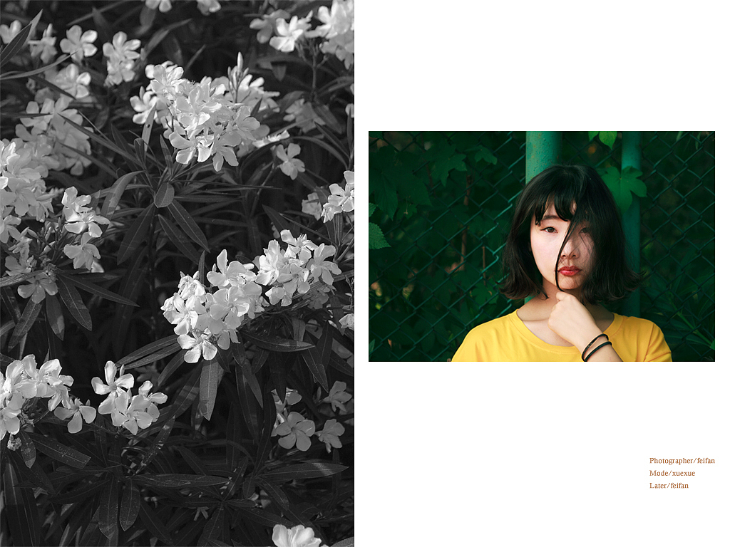 少女与花,迷惘与日光