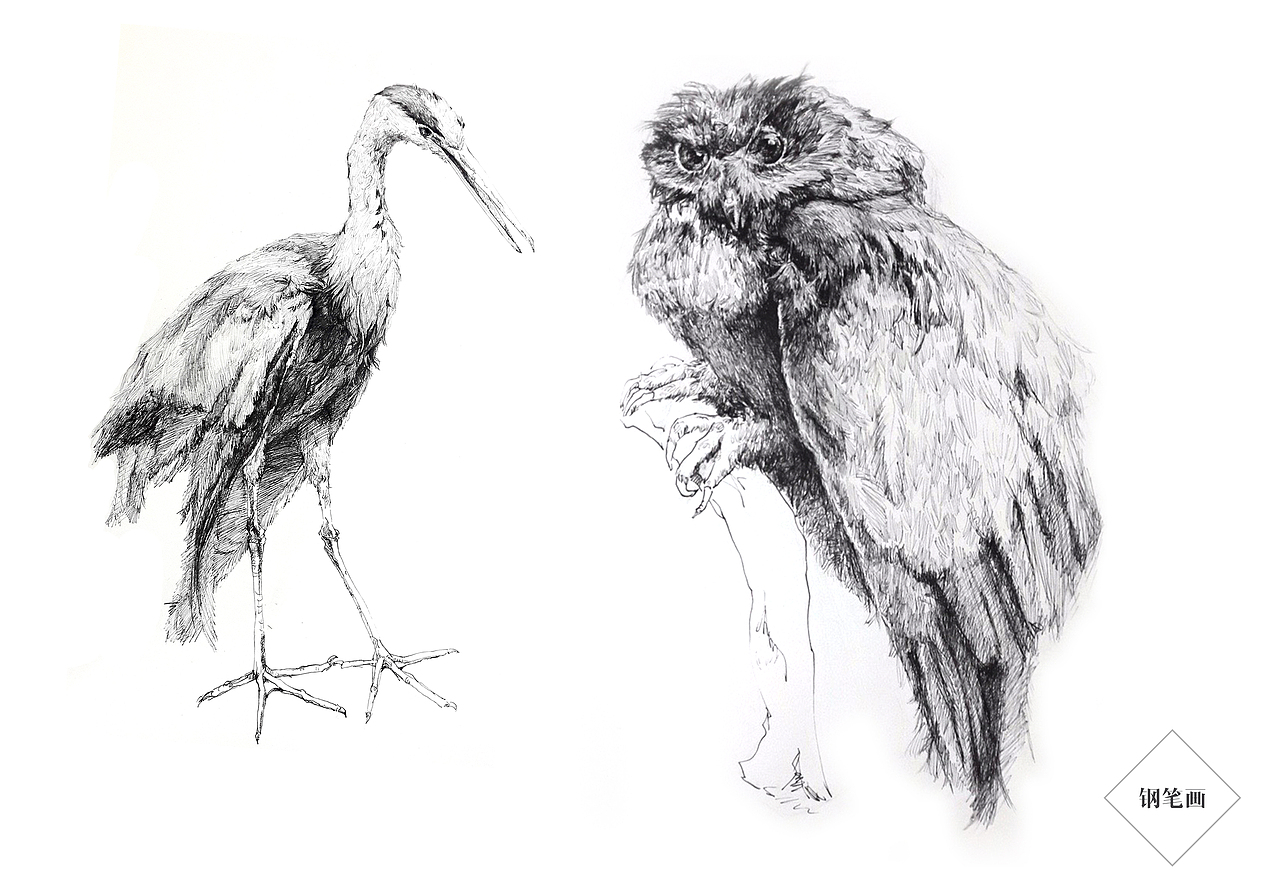 创意素描（图ZMTEyMDkwMDUy） - 绘画 - 站酷设计师帅大珉原创素材 - 站酷ZCOOL