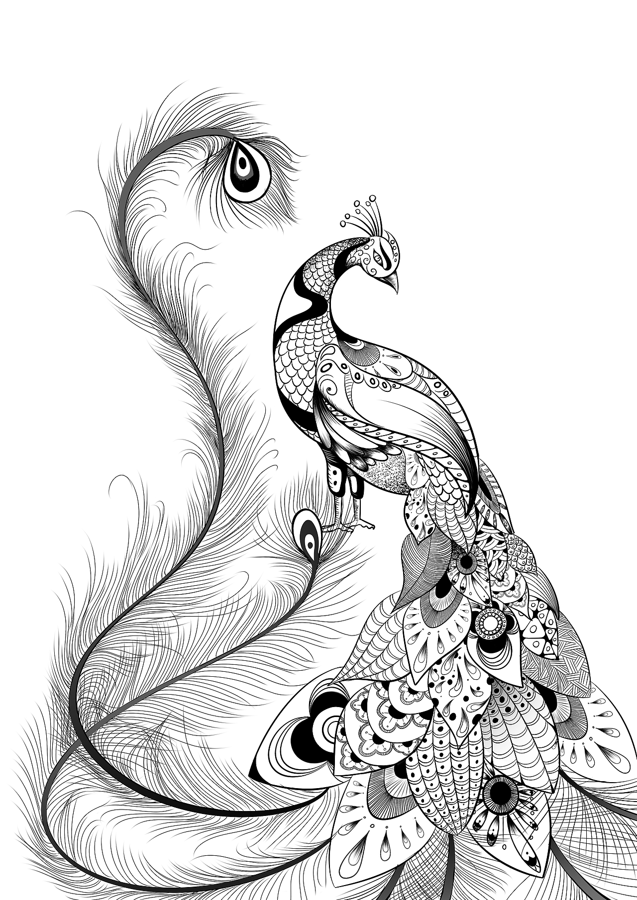 黑白画（图ZNzQ1MTU2MzI=） - 商业插画 - 站酷设计师jian4960422原创素材 - 站酷ZCOOL