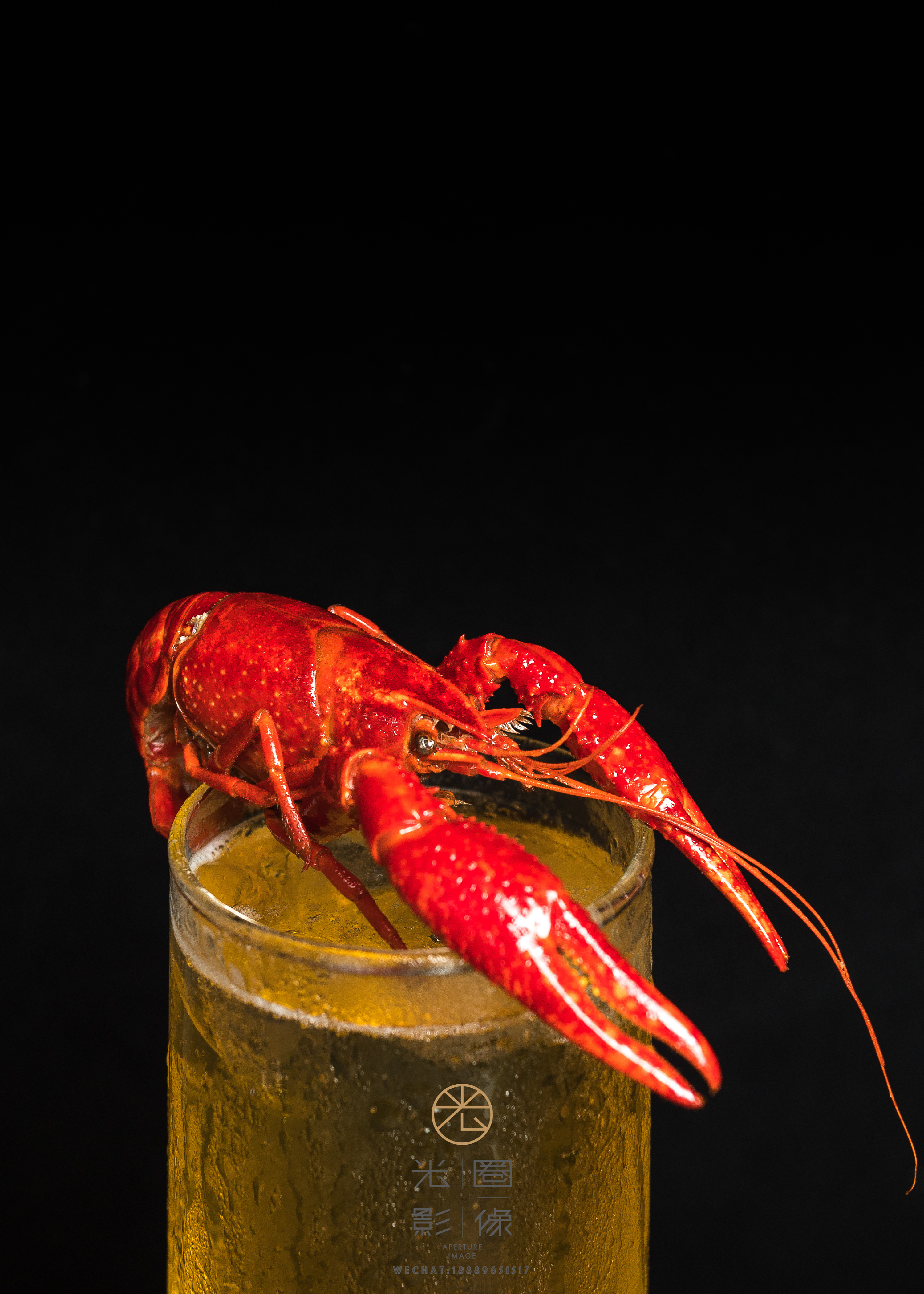 海口陈建东功夫龙虾馆美食摄影