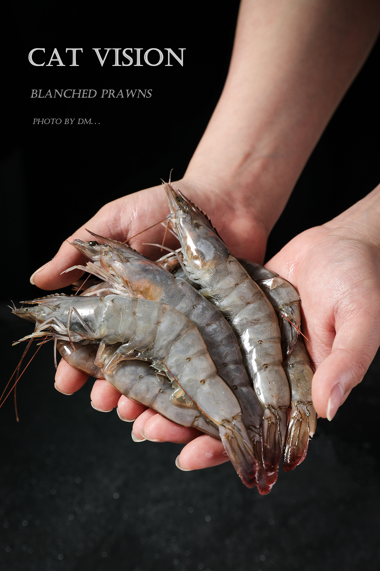 美食摄影|2021合集