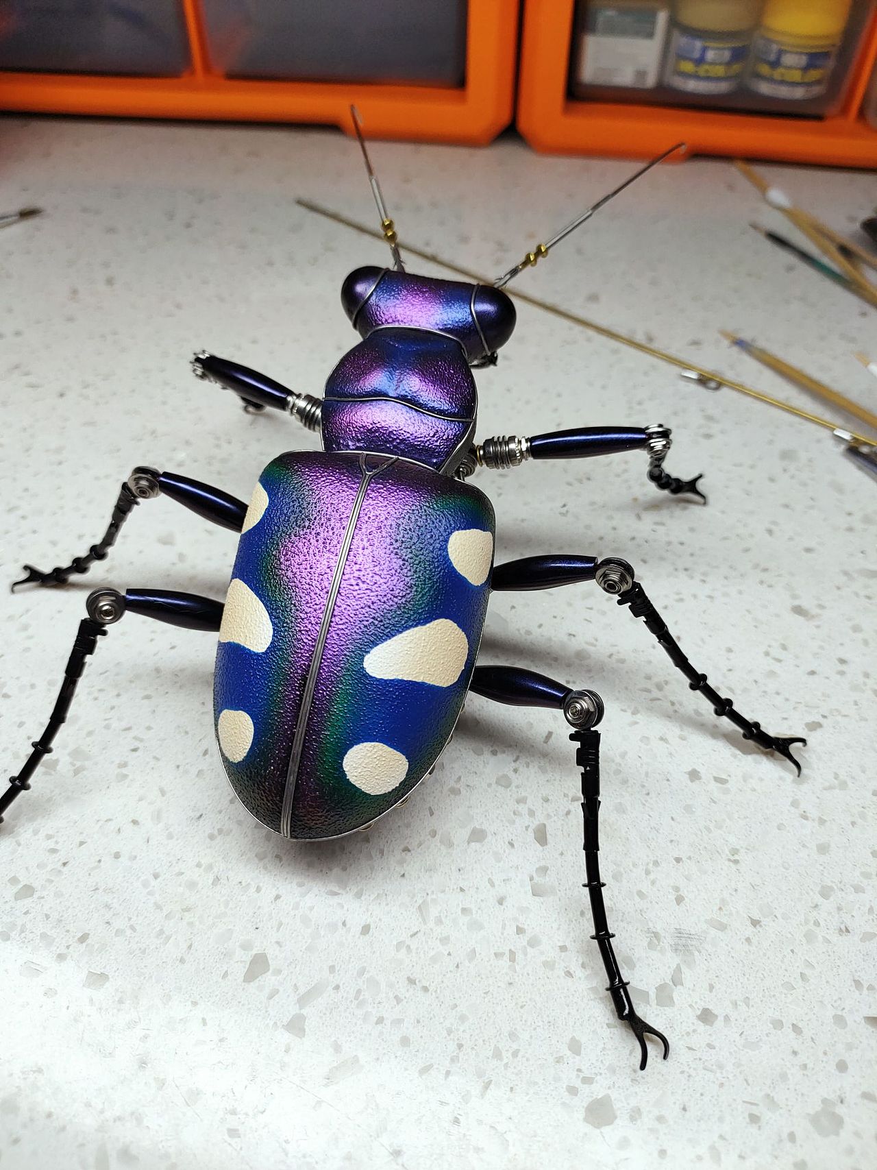 昆虫的机械进化