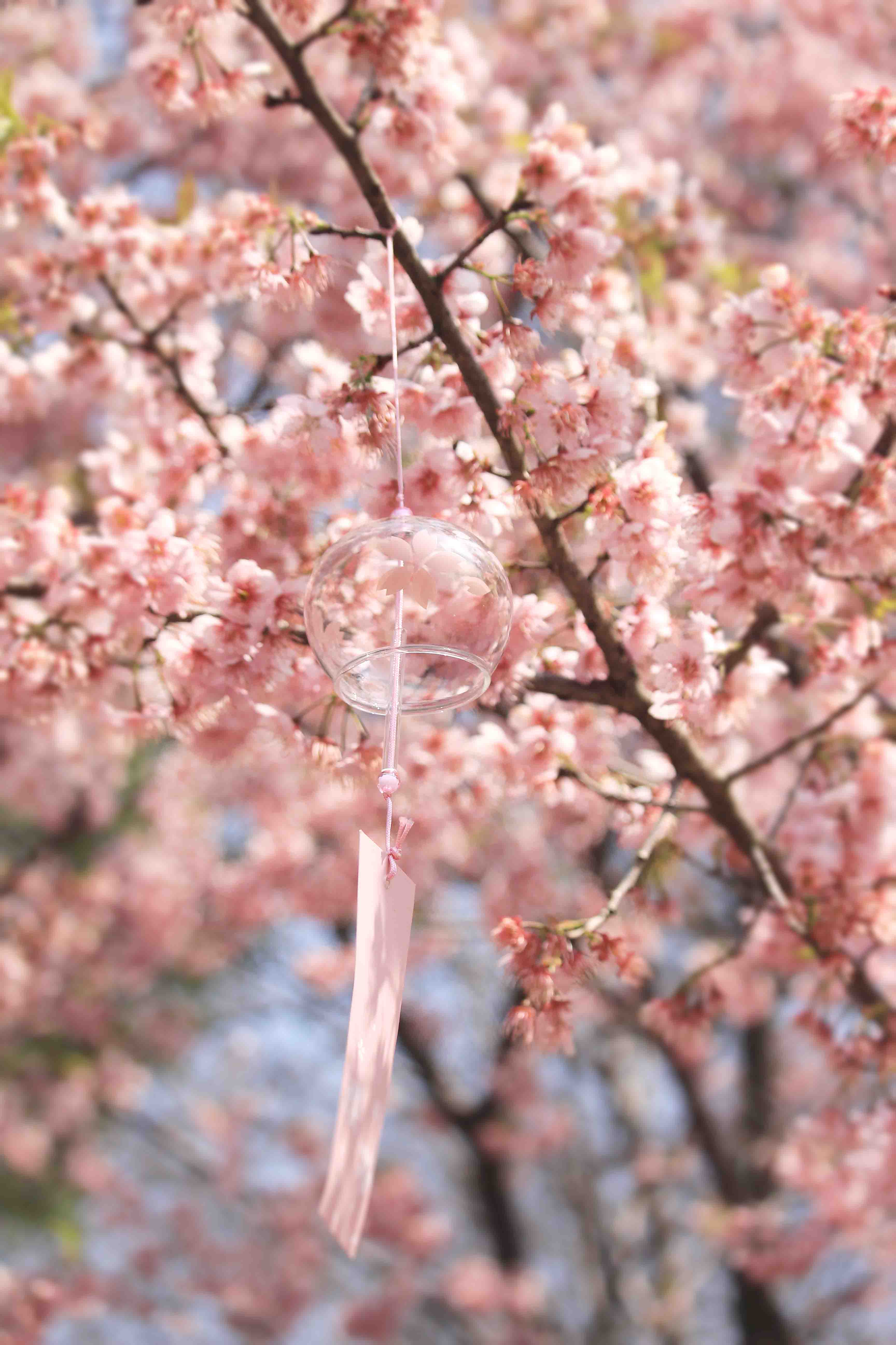 A_KEI的个人主页（背景预览） - 主页背景设置 - 站酷设计师A_KEI原创素材 - 站酷ZCOOL