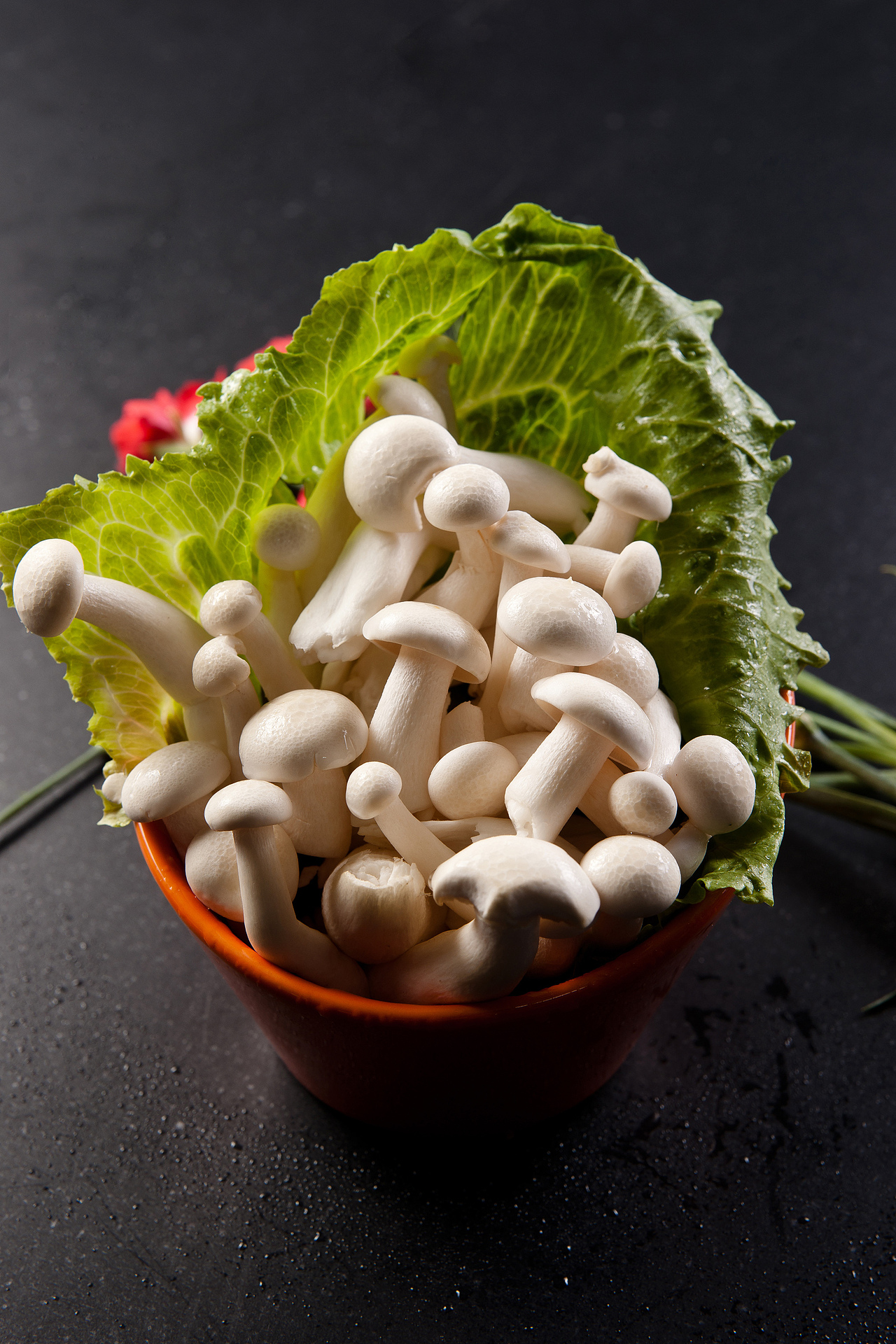 酒店菜谱（图ZOTI2MTY2NA==） - 产品摄影 - 站酷设计师蓝太阳TNT原创素材 - 站酷ZCOOL