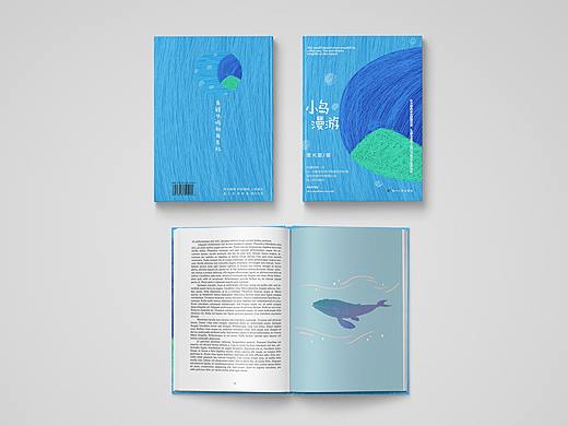 书籍封面 小岛漫游