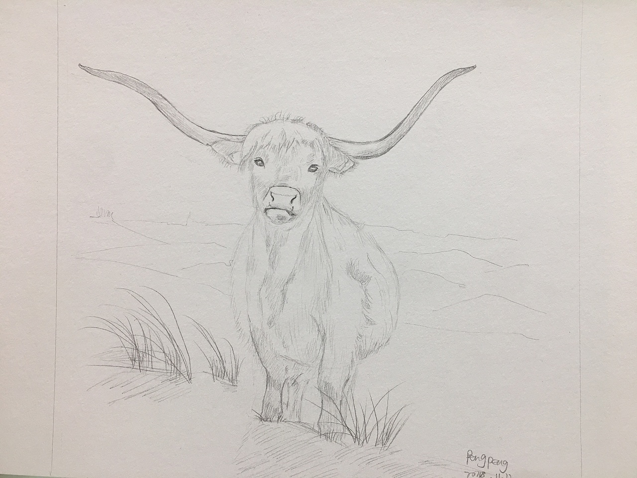 牛|纯艺术|绘画|april彭彭_原创作品-站酷zcool