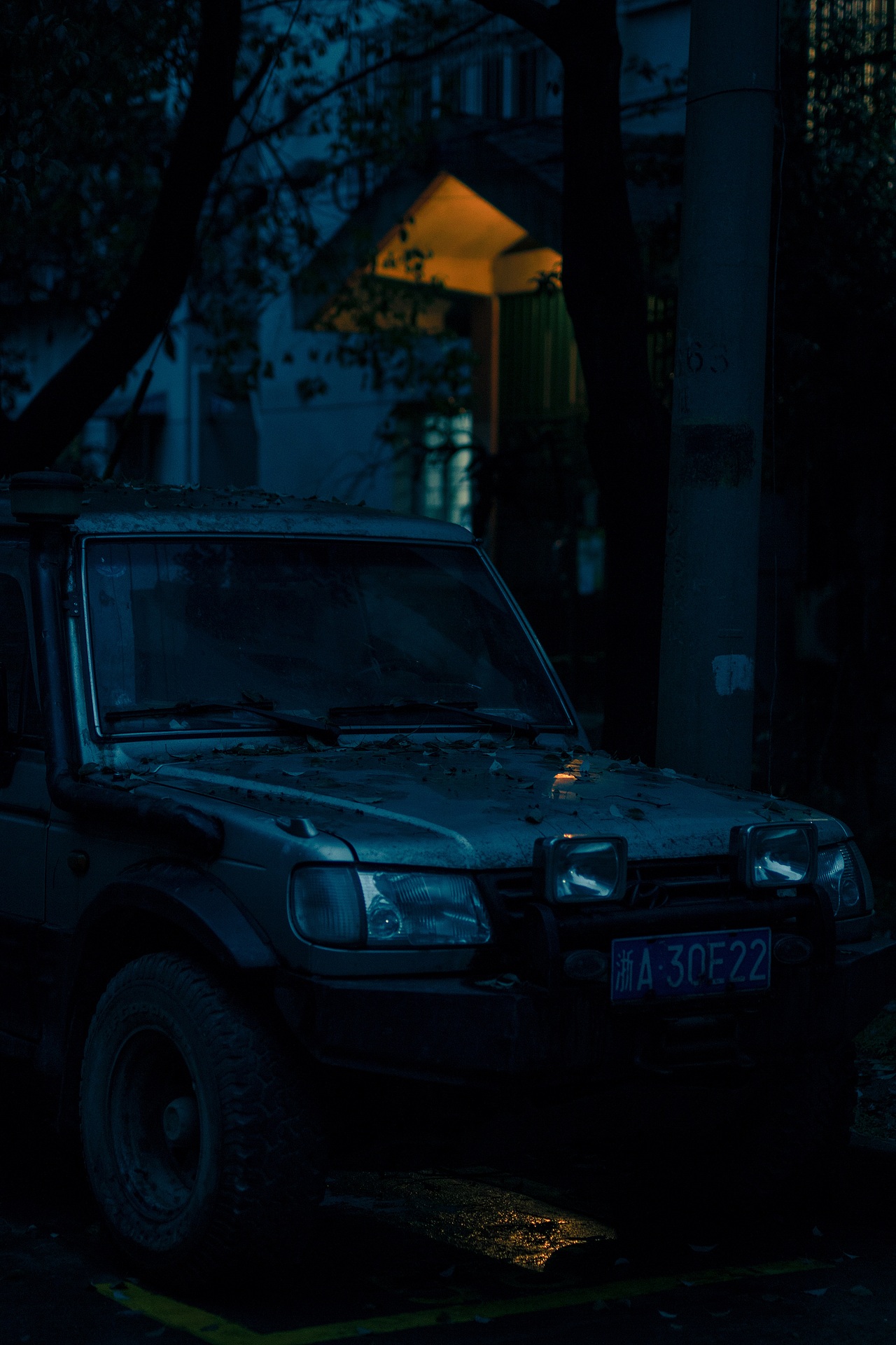 翻去年小區(qū)的春天，今年的春天花也要開啦！~（圖ZMTA2MTA2NzQ4） - 人文/紀(jì)實(shí)攝影 - 站酷設(shè)計(jì)師正在做任務(wù)原創(chuàng)素材 - 站酷ZCOOL