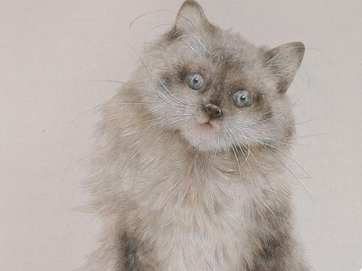 喵~（個(gè)人主頁(yè)-ZMjgyMDQ4NjA=） - 繪畫 - 站酷設(shè)計(jì)師知末原創(chuàng)素材 - 站酷ZCOOL