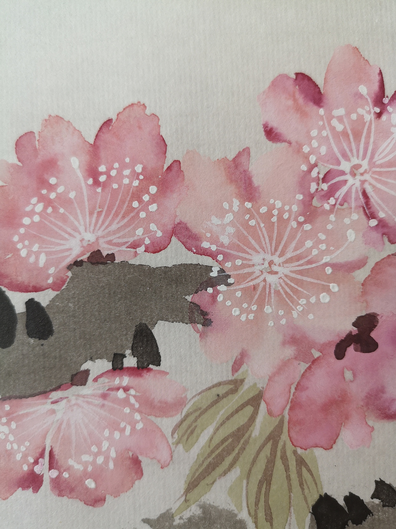 《春来遍是桃花水》