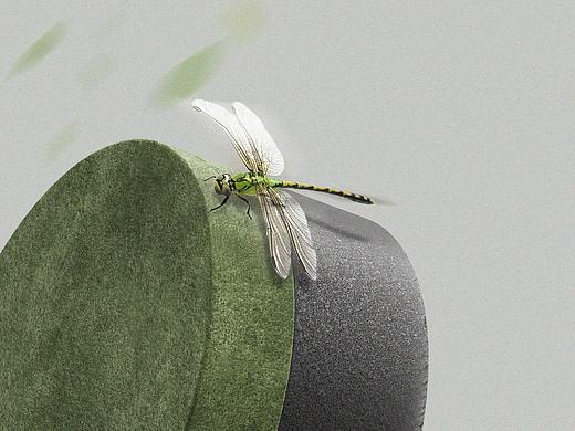 竹炭净化环