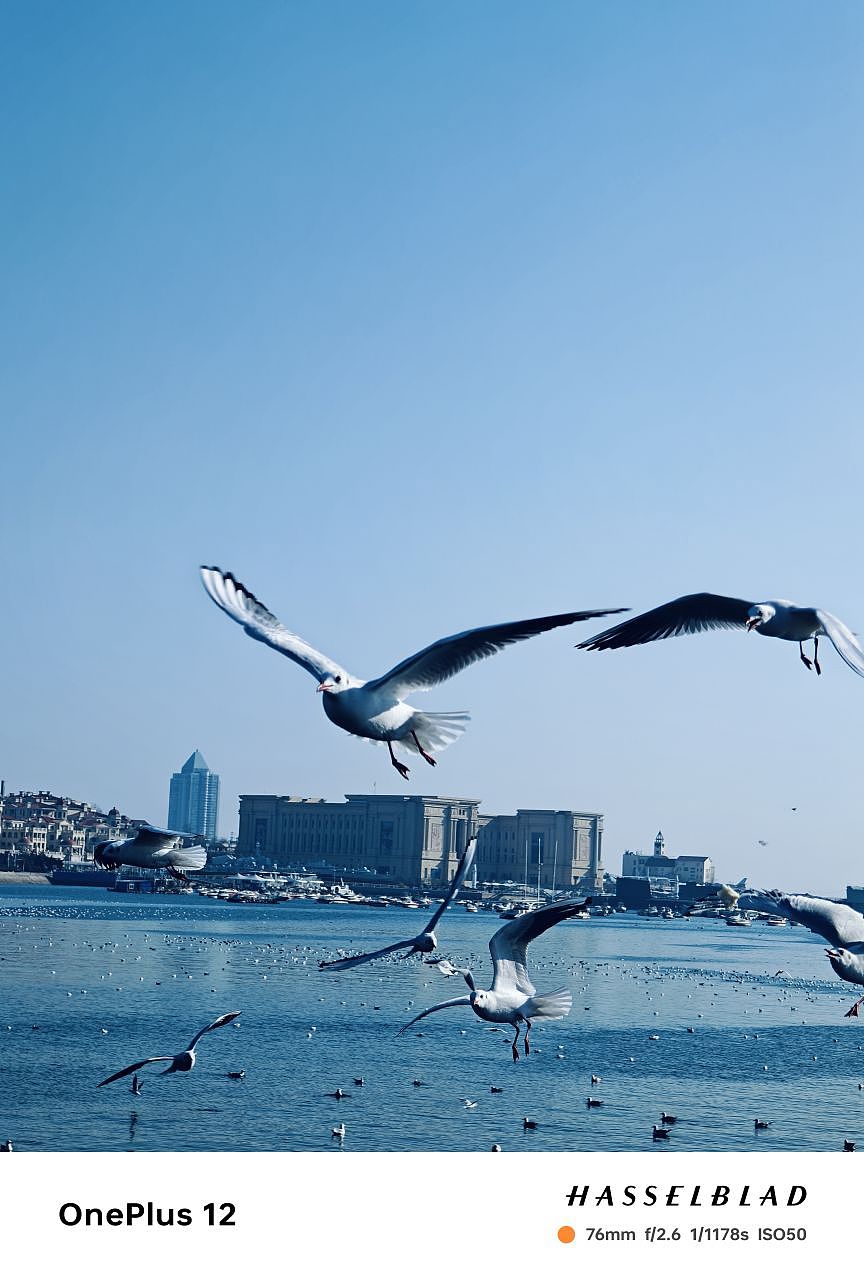 青岛真的是一个特别浪漫的城市